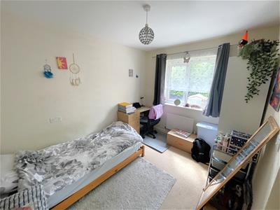 Picture 13
